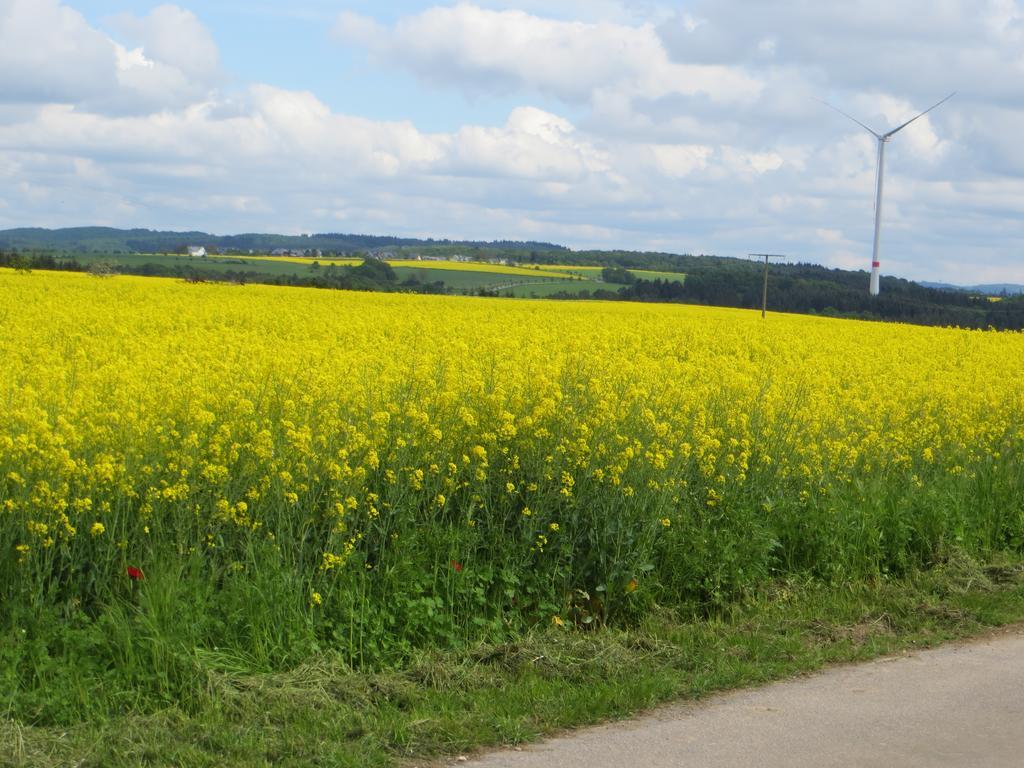 Ferienwohnung Wagner 4 Sterne Neef Buitenkant foto